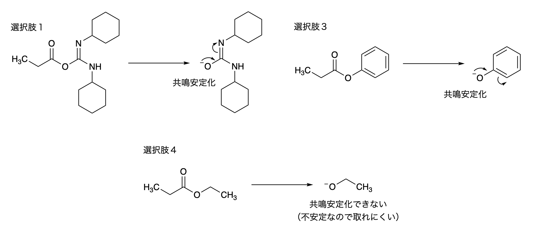 解説画像
